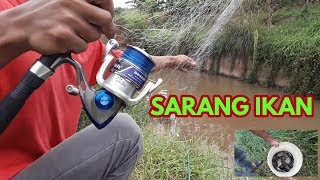 Sampe kuwalahan mancing jaringspring bom net di sarang ikan mujair [upl. by Gine]