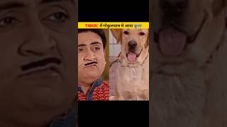 Tmkoc ka kutaa jethalal bi like 😱tmkoc short [upl. by Charie255]