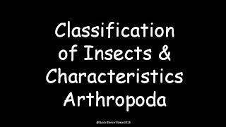 Classification of Insects and characteristics of Arthropoda [upl. by Gerkman]