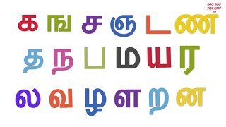 Tamil uyirmei ezhuthukkal  தமிழ் உயிர்மெய் எழுத்துக்கள்  க ங ச ஞ பாடல்  Tamil alphabets amp rhymes [upl. by Eiramllij]