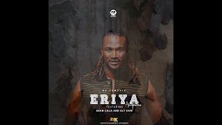 Jah Prayzah Eriya Amapiano [upl. by Lenora]