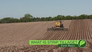 Farm Basics  1073 What Is Strip Tillage Air Date 102818 [upl. by Kalk]