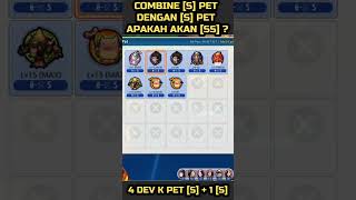 Lost Saga  Saya Mencoba Combine PET Rank S Pet lostsaga lostsagaorigin lostsagaindonesia [upl. by Nylkoorb112]