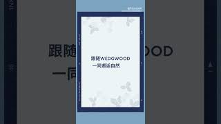 WEDGWOOD Weibo Updated XiaoZhan audio recommending the new quotWild Strawberry Ink Bluequot tea set [upl. by Clayborne]