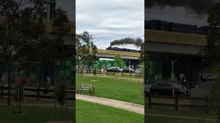 🚂 Steam Train Chuggin down the SkyRail 4K steamtrain train steamengine [upl. by Filemon550]