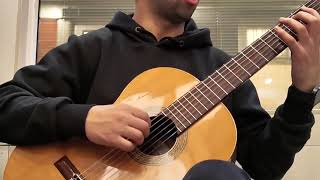 Segovia Scales  Two Octave C Major [upl. by Mich]