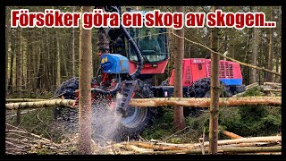 Försöker få till en skog av skogen En riktigt mörk skog kommer att få se ljuset igen [upl. by Elockcin]