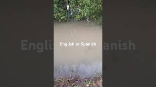 English or Spanish flood edition [upl. by Eadahs]