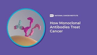 How Monoclonal Antibodies Treat Cancer [upl. by Haroved]