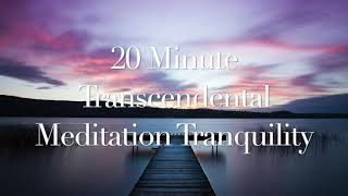 20 Minute Transcendental Meditation Music [upl. by Ahsircal730]