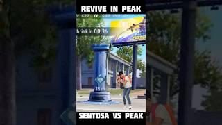 Peak versus Santosa in revive time ￼ [upl. by Cinderella]