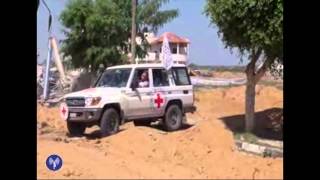 Tsahal facilite le déplacement des ambulances à Gaza [upl. by Babs]