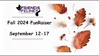 Fall 2024 FunRaiser Friends of Felines Rescue Center FFRC [upl. by Asiat]