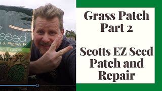 Grass Patch with Scotts EZ Seed Patch and Repair Part 2  Two Week Check In [upl. by Galatea784]