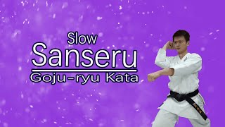 Gojuryu Kata Sanseru （Slow） [upl. by Odnalra690]