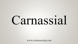 How To Say Carnassial [upl. by Hayden]