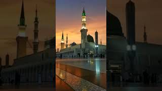 Ya Nabi Salam Alaika  Maher zain Songs  arabicmusic arabicringtone maherzaingojol shorts [upl. by Abas715]