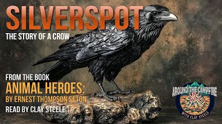 Silverspot A Story about a Crow  Thanksgiving Special Around the Campfire campfirestories [upl. by Furnary]