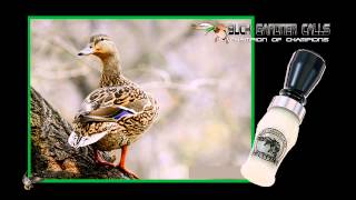 Buck Gardner Calls  Spitfire Duck Call [upl. by Zwart]