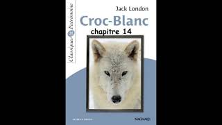 Chapitre 14  Croc Blanc de Jack London  version abrégée [upl. by Suzy]