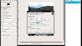 Changer la dimension dune image vers un format imposé avec Gimp [upl. by Wadleigh]