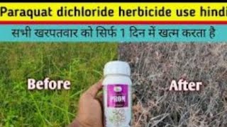 paraquat dichloride herbicide use [upl. by Orpheus]