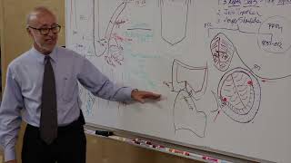 The Duggan Lectures in Restorative Dentistry Lecture 9 Premolar PFM grading failing errors [upl. by Annawahs]