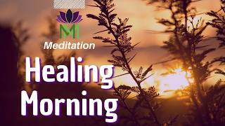 Morning Awakening 15 Minute Somatic Mindfulness Meditation for SelfHealing  Mindful Movement [upl. by Cohen]