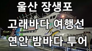 울산여행울산장생포고래바다여행선 야간 밤바다 연안 투어 불꽃쇼 [upl. by Gnaht]