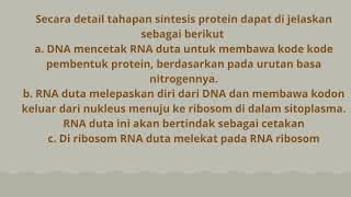 Sintesis Protein [upl. by Maddocks]