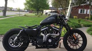 2015 Harley Davidson Iron 883 Walk around [upl. by Eiralam]