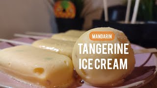 Tangerine Ice Cream 🍨🧡 mandarin Milk Lavender Honey 🤤 [upl. by Enyaw]