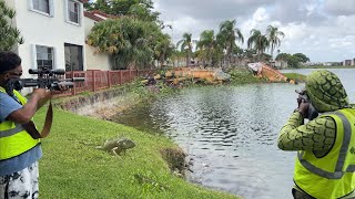 Invasive iguanas Take over Poolside Peninsula Hoa Hires Us to Remove Them [upl. by Ielarol434]