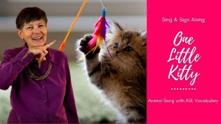 Sing and Sign One Little Kitty with ASL Vocabulary [upl. by Stratton]