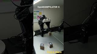 Pick amp Place operation with OPENMANIPULATORX robot arm and Intel Realsense Camera [upl. by Yerrok]