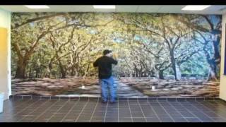 ORACAL USA  Indoor Wall Mural Installation [upl. by Conard]