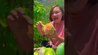 fruit mango satisfying seedless mangofruit machine mangolove jade mangolicious fruiting [upl. by Willing342]