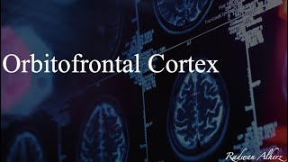 Orbitofrontal Cortex [upl. by Hokanson]