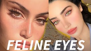 ✨I always fall for your feline eyes✨Feline eyes subliminal⚠️Extremely Powerful⚠️ [upl. by Justino]