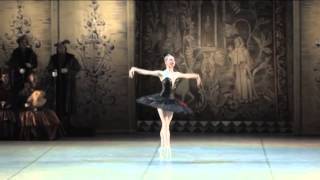 Svetlana Bednenko Odile Ballet quotSwan Lakequot [upl. by Pickering625]