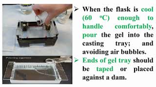 Preparation Agarose Gel Electrophoresis [upl. by Esina670]