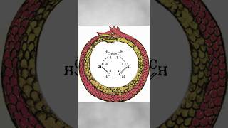 The Kekulé Structure of Benzene in Under 1 Minute [upl. by Schrader479]