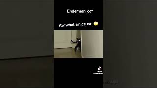 Bro is a Enderman cat [upl. by Treve229]