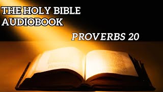 Proverbs 20  Planting a Seed Audio Bible [upl. by Arriec516]