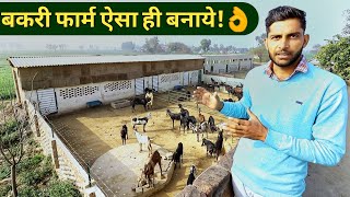 मॉडर्न बकरी फार्म ऐसे बनायेHow to MakeStart Goat Farm in hindiShed design India 9350146903 [upl. by Aivad587]