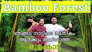 Bamboo Forest Malayalam  Thrissur  mupliyam  vellarampadam  fantasy Journey  Travel [upl. by Honora]