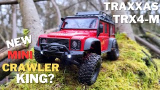 The BEST Mini Crawler  Traxxas TRX4M Review amp First Run  118 Scale Mini Crawler [upl. by Kabab]