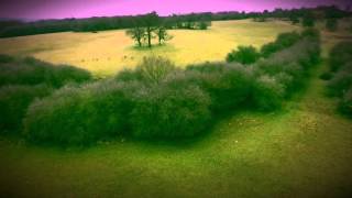 Wild deer stampede caught on camera  Romford Essex [upl. by Rivard]