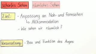 Das Auge  scharfes Sehen räumliches Sehen  Biologie  Humanbiologie [upl. by Pederson]