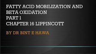 Beta oxidation of Fatty acids  Chapter 16 Biochemistry made easy by Dr Bint e Hawa [upl. by Llenej]